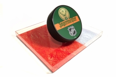 Jägermeister NHL Hockey DisplayOversized puck on an acrylic rink and sides